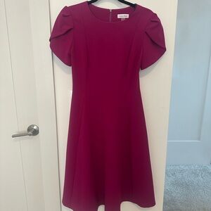 Calvin Klein Deep Pink Dress with Tulip Sleeves